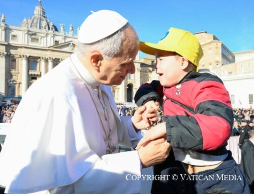 Dio non è fuori dal mondo. L’udienza giubilare Sperare è partecipare