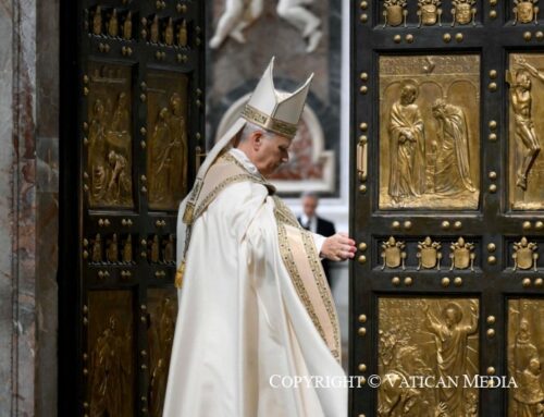 Siamo vite in cammino